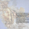 medici-1