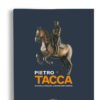 tacca